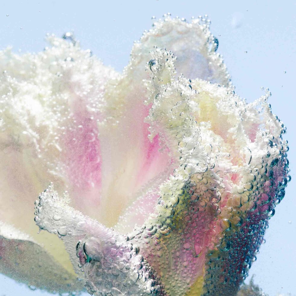 Byredo Hand Lotion Tulipmania