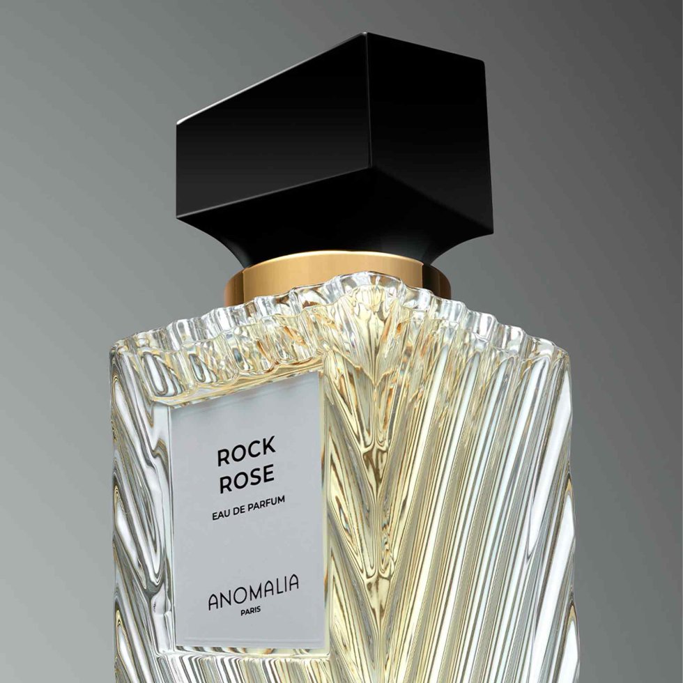 Anomalia Paris Rock Rose