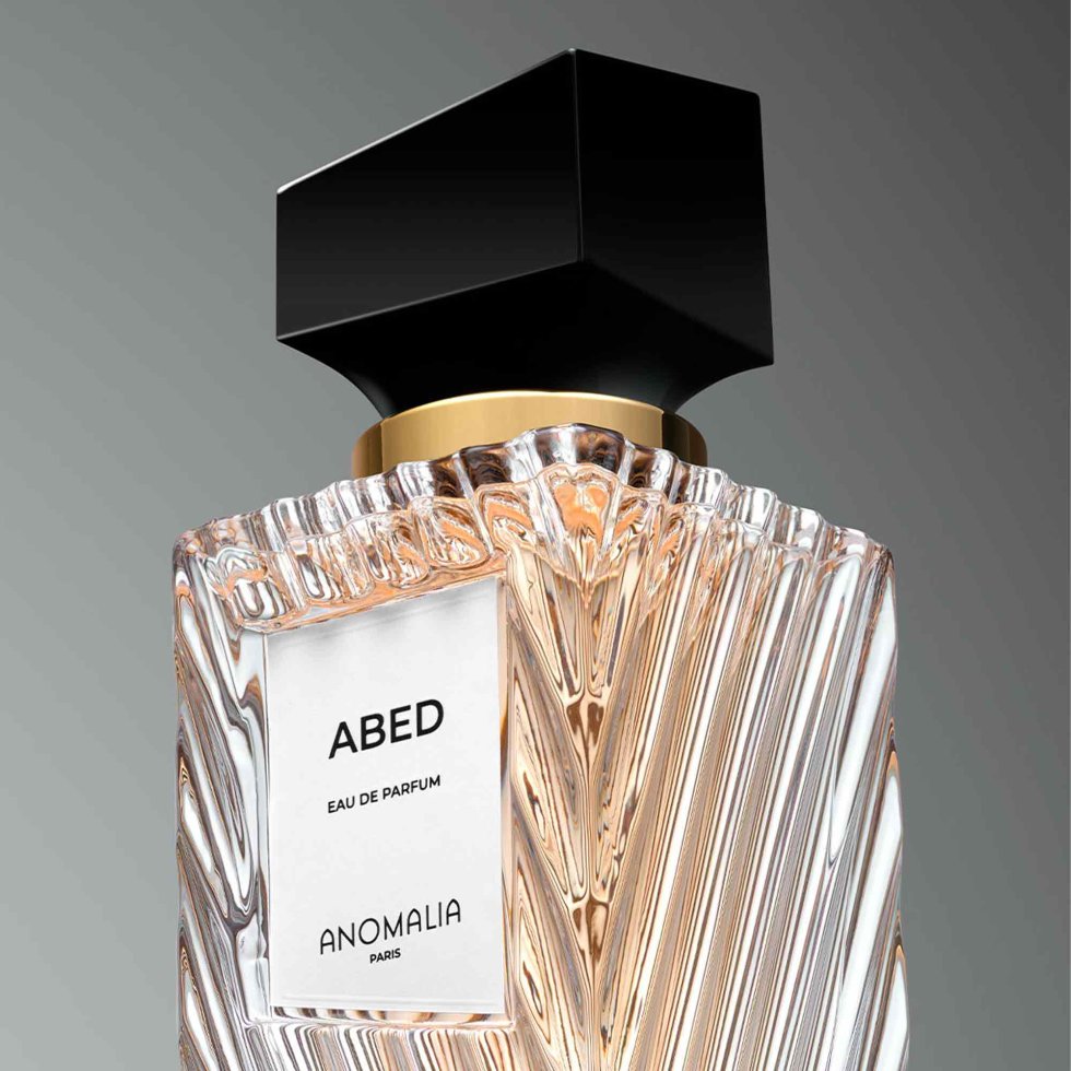 Anomalia Paris Abed