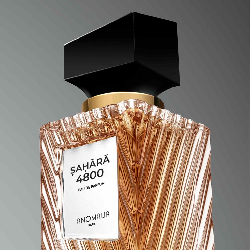 Anomalia Paris Sahara 4800