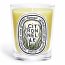 Diptyque Citronnelle Classic Candle