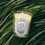 Diptyque Citronnelle Classic Candle