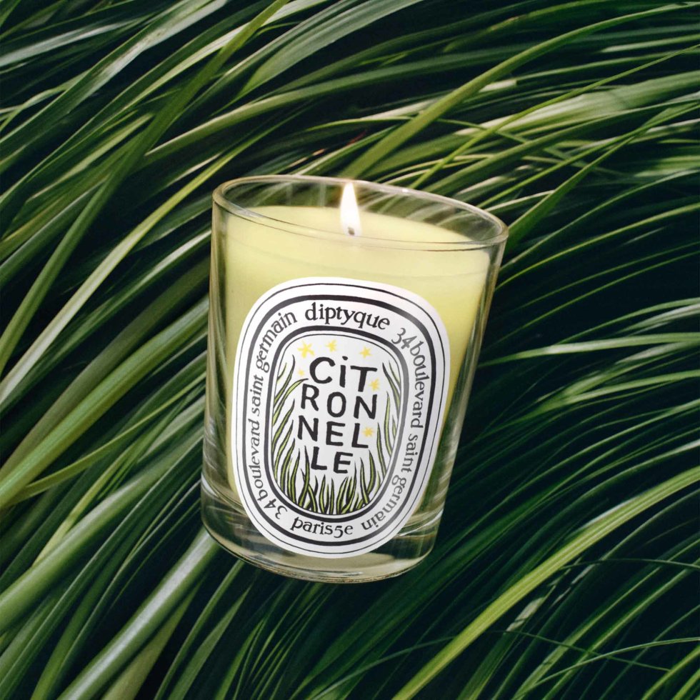 Diptyque Citronnelle Classic Candle