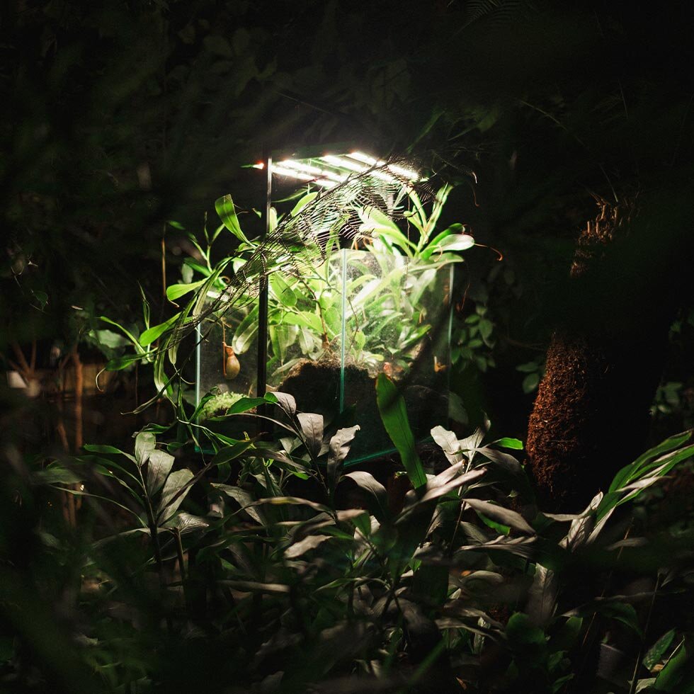 LEIF: Australijski brend prirodne nege